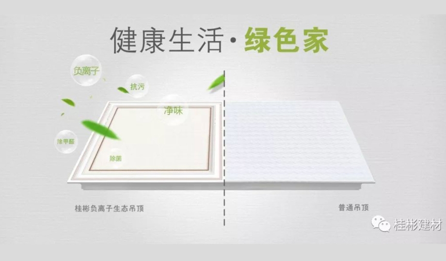 桂彬负离子生态吊顶