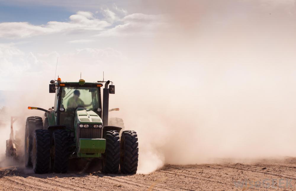 Crops cultivated for food are organic natural resources, a group of materials converted into products.