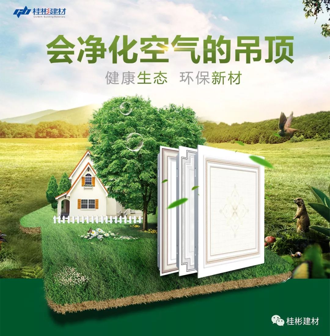 环保吊顶材料
