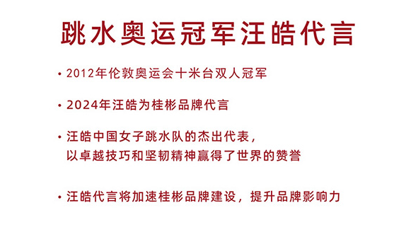 代言说明